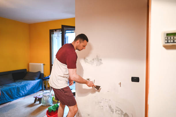  Crandall, TX Mold Removal Pros